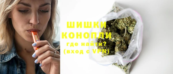 ПСИЛОЦИБИНОВЫЕ ГРИБЫ Арсеньев