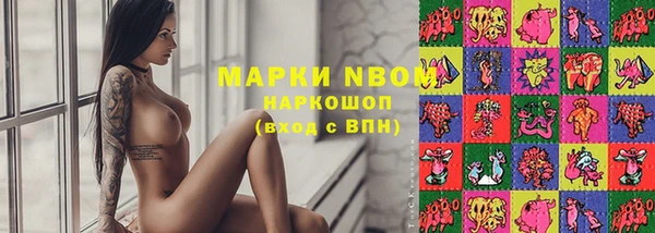 кокс Аркадак