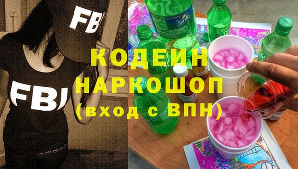 ПСИЛОЦИБИНОВЫЕ ГРИБЫ Арсеньев