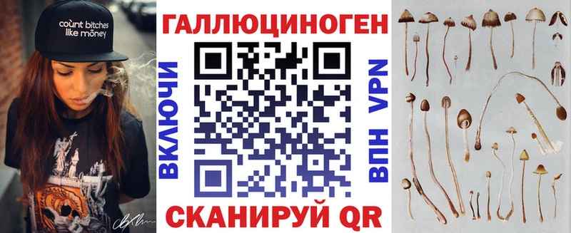 blacksprut tor  Томмот  Псилоцибиновые грибы Psilocybe 